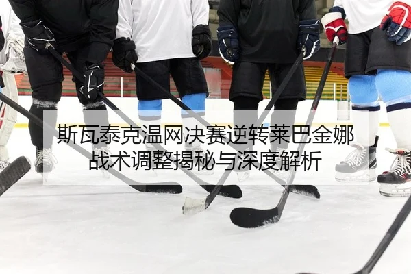 si-wa-tai-ke-wen-wang-jue-sai-ni-zhuan-lai-ba-jin-na-zhan-shu-tiao-zheng-jie-mi-yu-shen-du-jie-xi-2-859.jpg